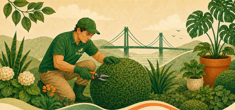 Ilustração de jardineiro podando plantas com a ponte Hercílio Luz ao fundo